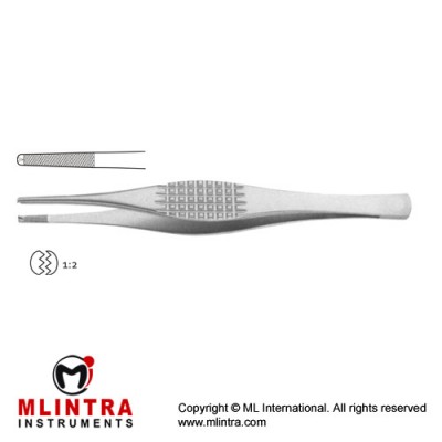 Strassburger Modell Dissecting Forceps 1 x 2 Teeth Stainless Steel, 20 cm - 8" 
